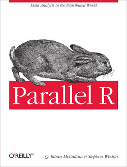 cover: Parallel R