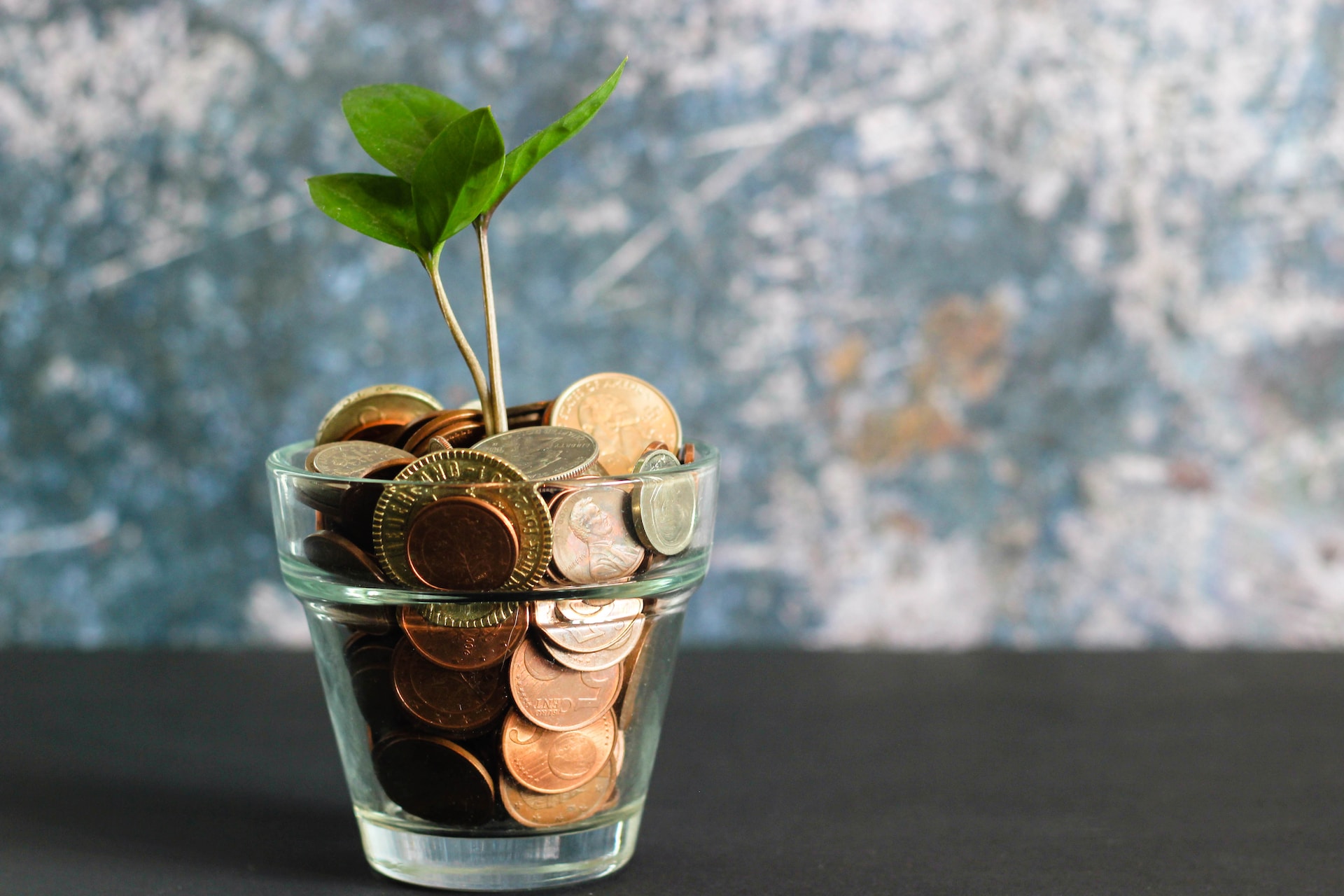 Photo of a small plant, growing out of a glass full of coins.  Photo credit micheile henderson on Unsplash. 