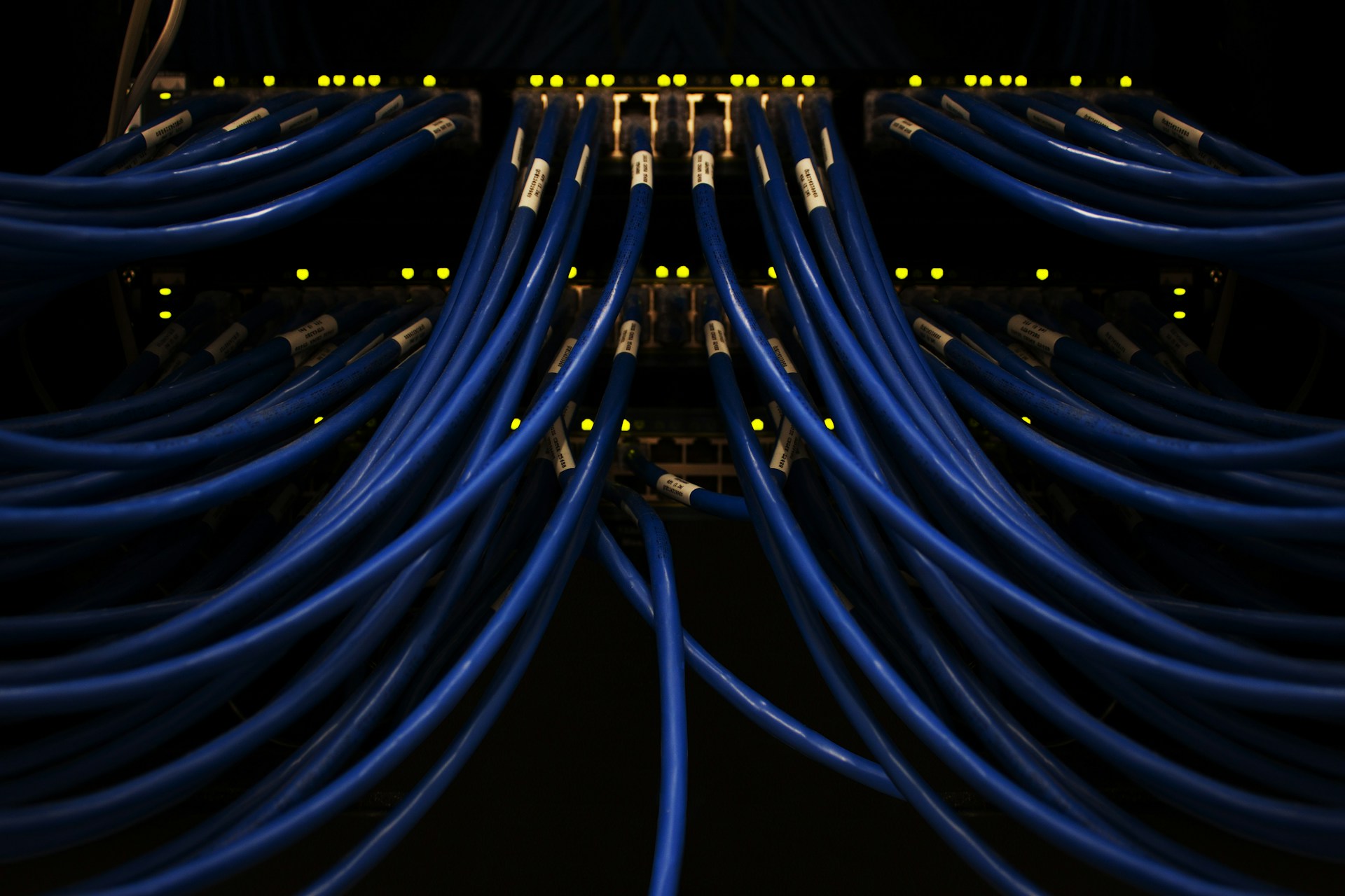 A close-up photo of network cables plugged into various switches.  Photo by Scott Rodgerson on Unsplash.