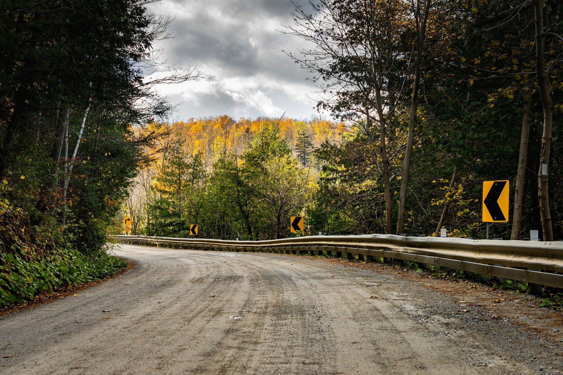 A road in a wooded area, with signs indicating upcoming bends and turns.  Photo by Megan Lee on Unsplash.