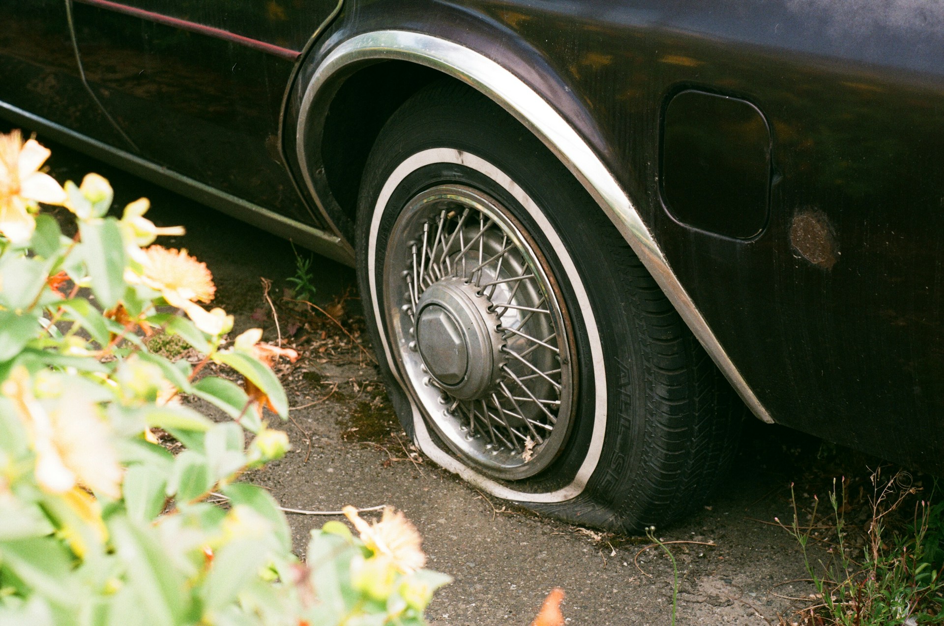 A close-up shot of a flat tire. Photo by Sebastian Huxley on Unsplash.