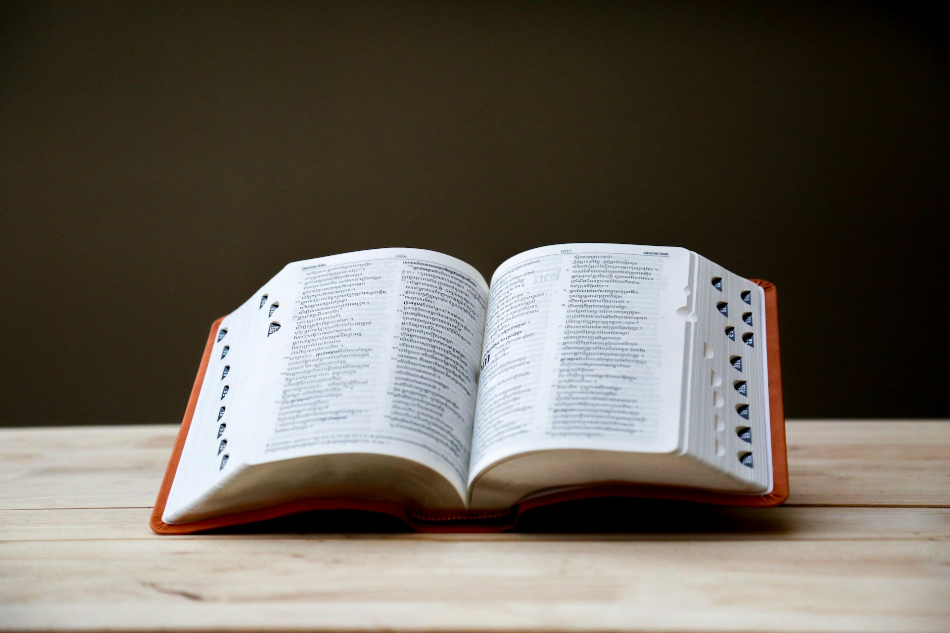 A large dictionary, open, on a table.  Photo by Pisit Heng on Unsplash.