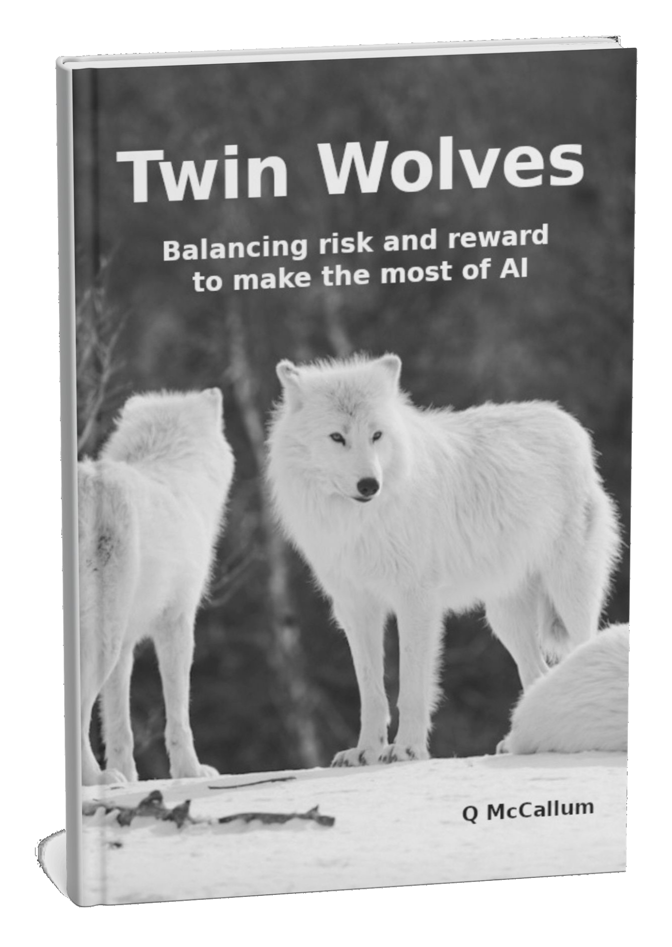 Book cover for Twin Wolves.  Cover photo of two wolves by Yomex Owo on Unsplash.