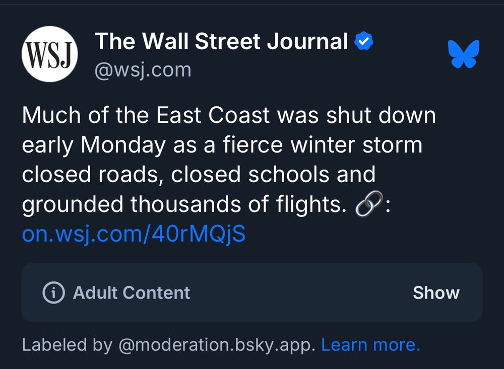 A screencap from Bluesky.  A post from the Wall Street Journal is flagged by Bluesky's moderation systems as potentially showing adult content.