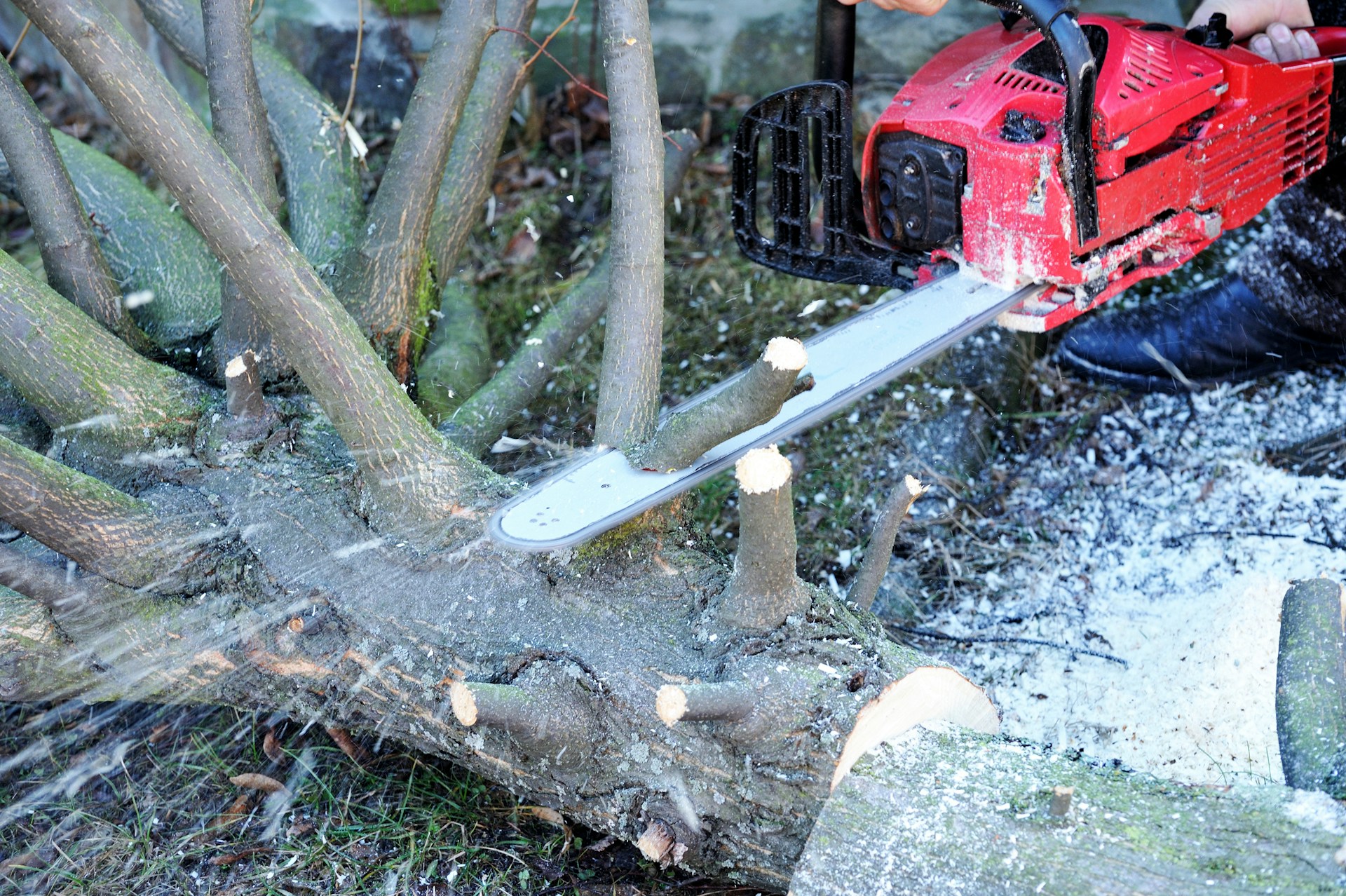 A chainsaw cutting through tree branches.  Photo by Senwart Machinery on Unsplash.